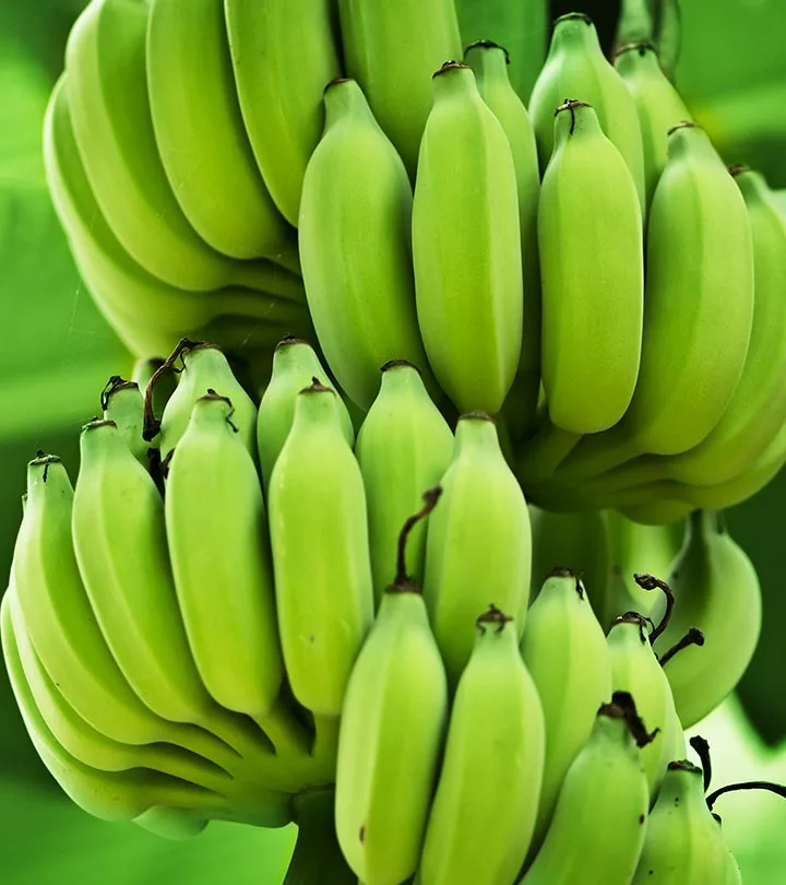 green bananas vegan prebiotic foods