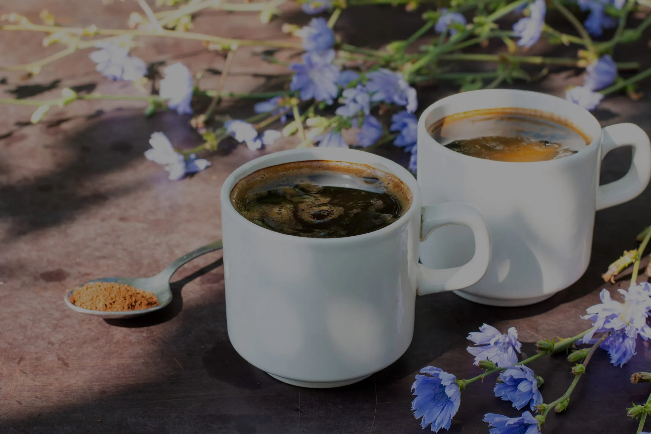 Best 5 Vegan Coffee Alternatives for a Better Cuppa of Joy!