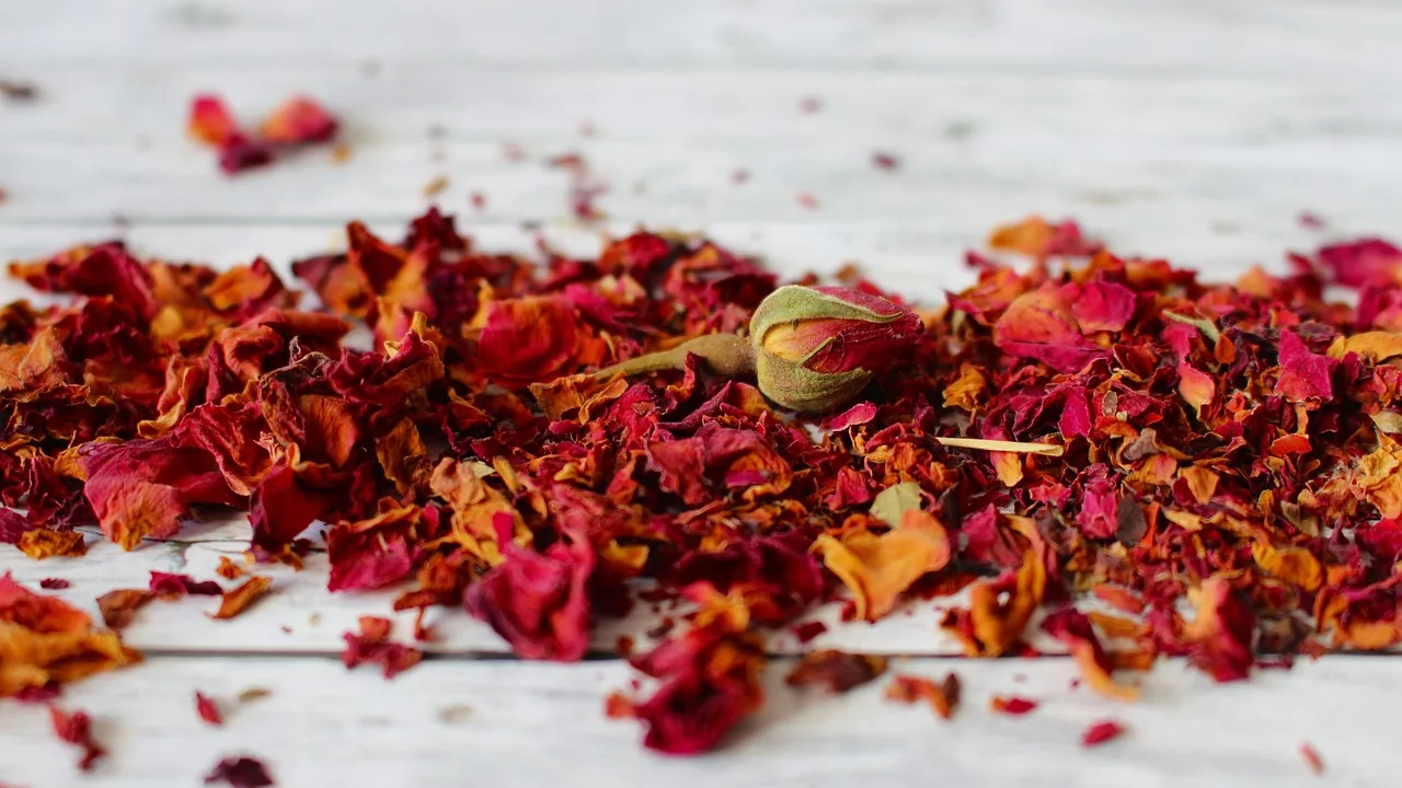 Why Dry Rose Petals at Home?