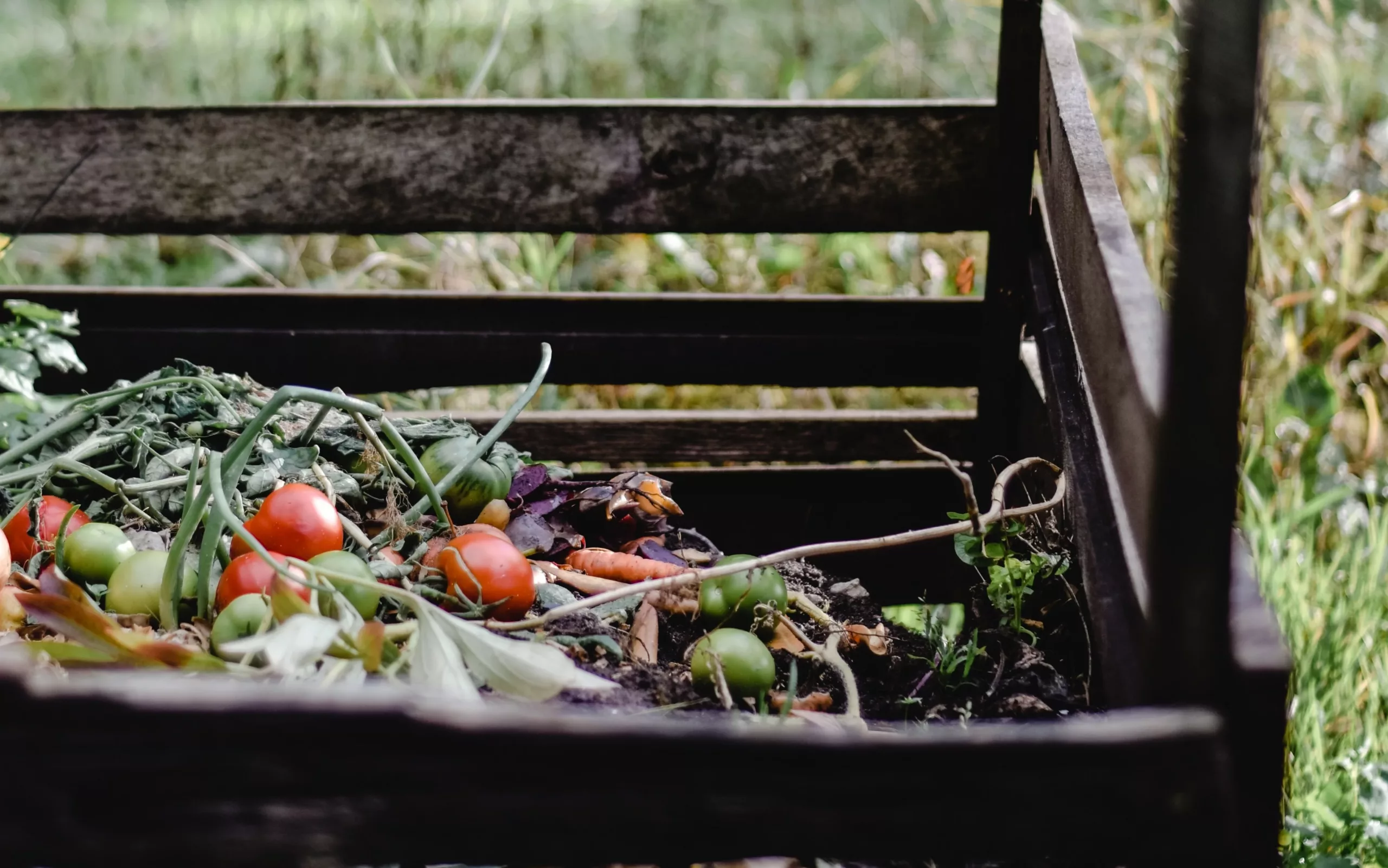 Donate Your Compost to Community Gardens