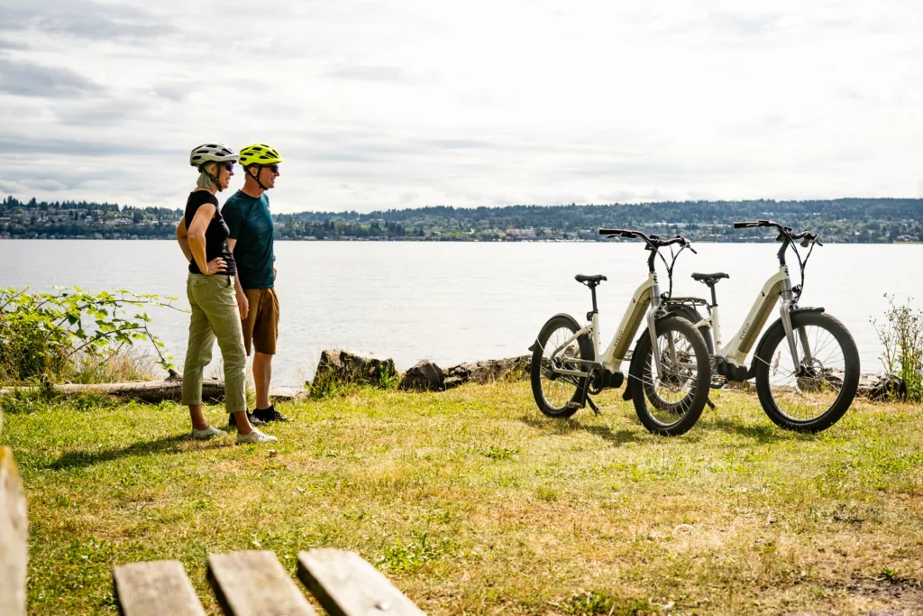 Best entry-level electric mountain bikes