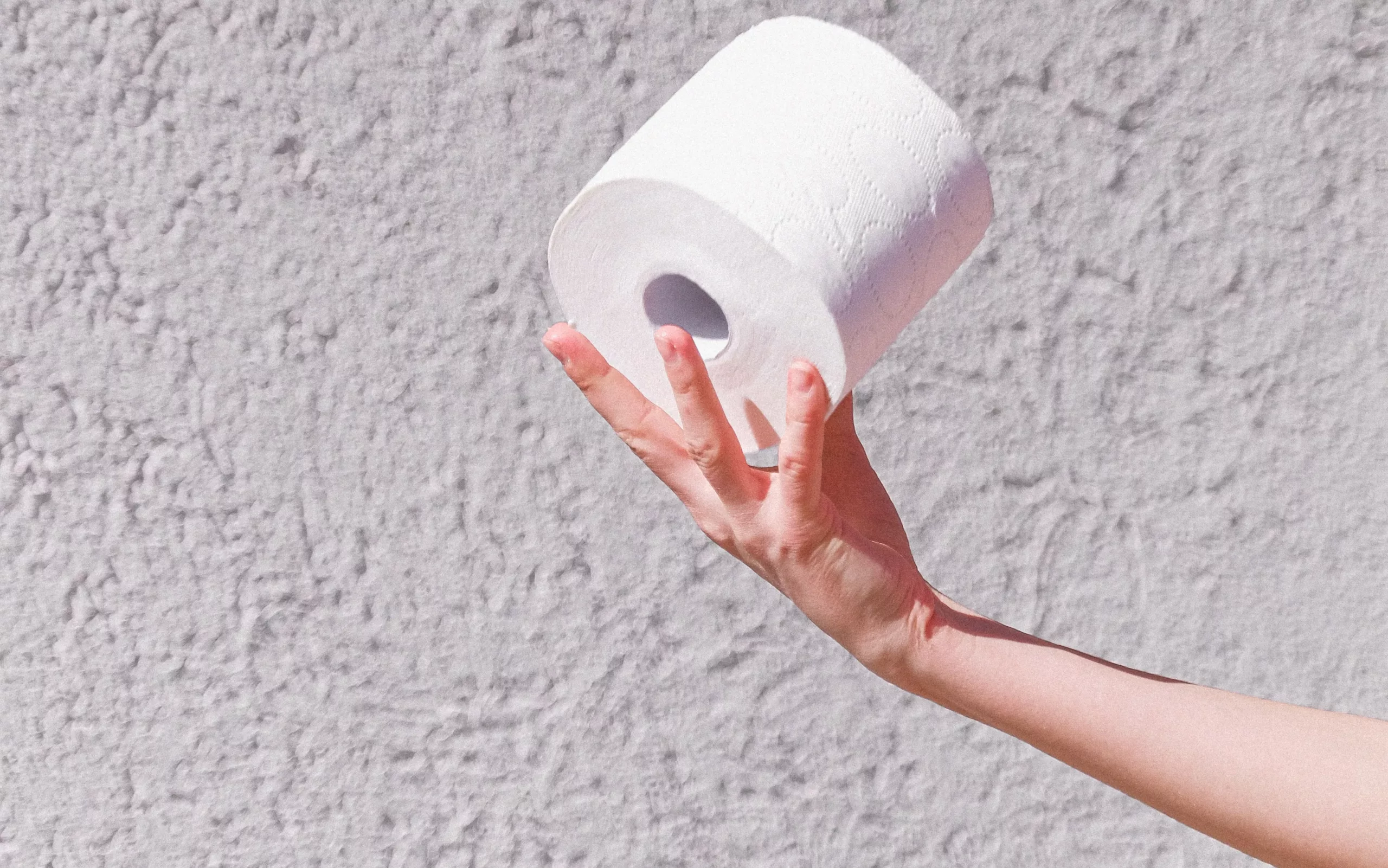 The Good Trade's Picks: Sustainable Alternatives to Toilet Paper