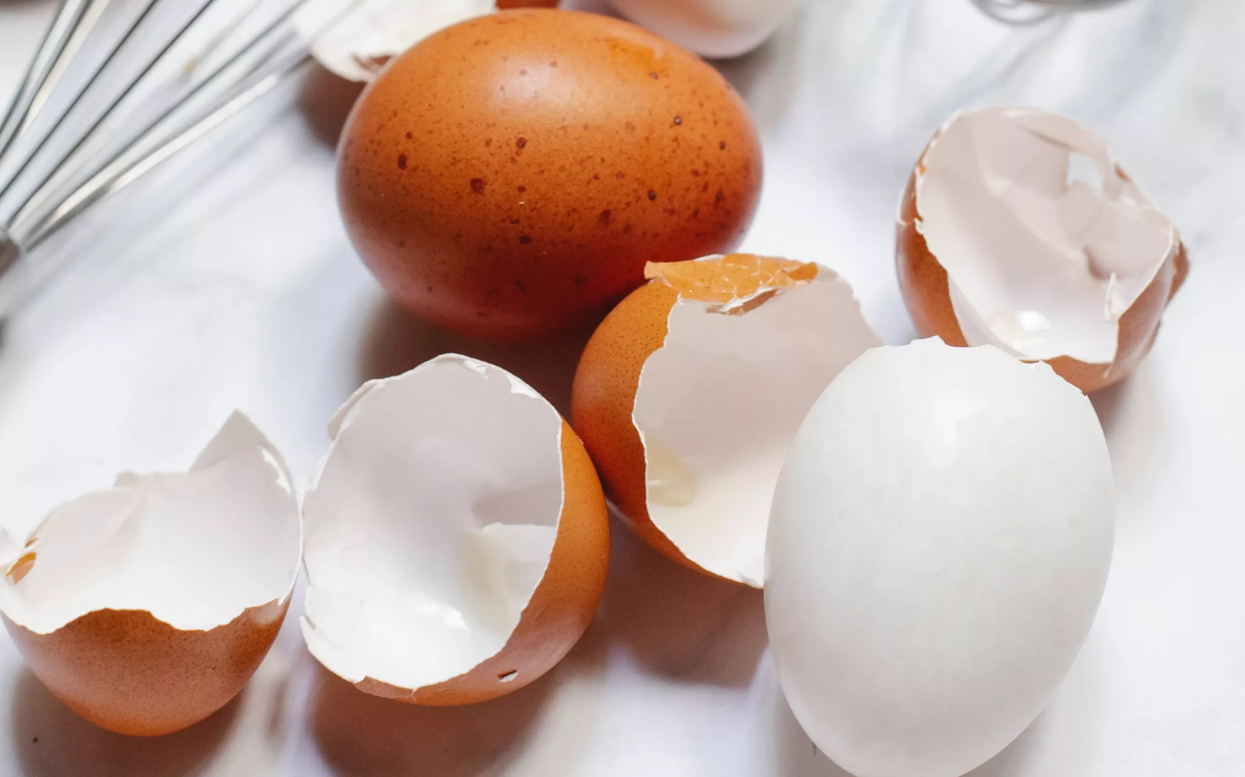 Applications of egg shell powder 