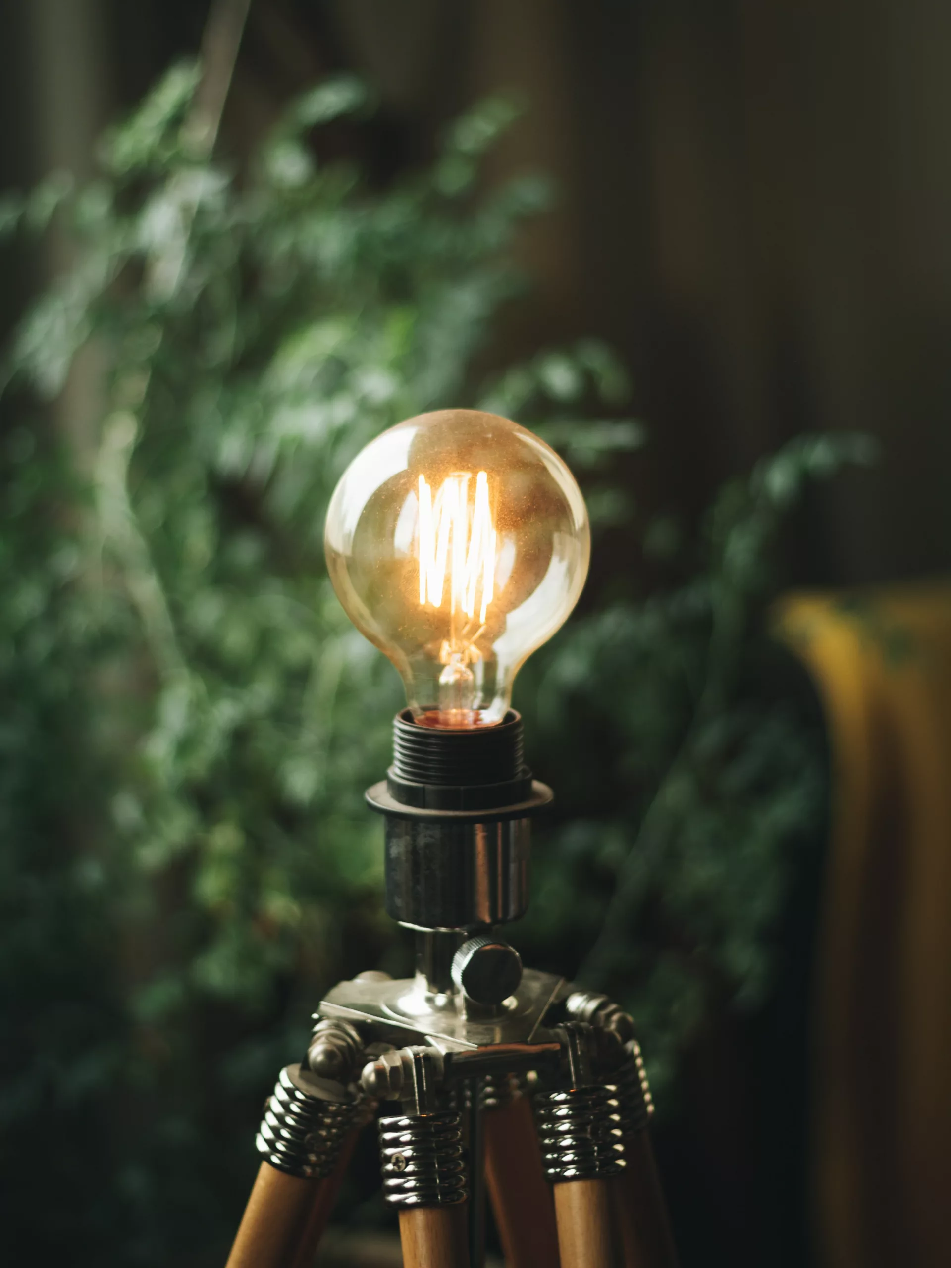 Salt Lamp Light Bulbs