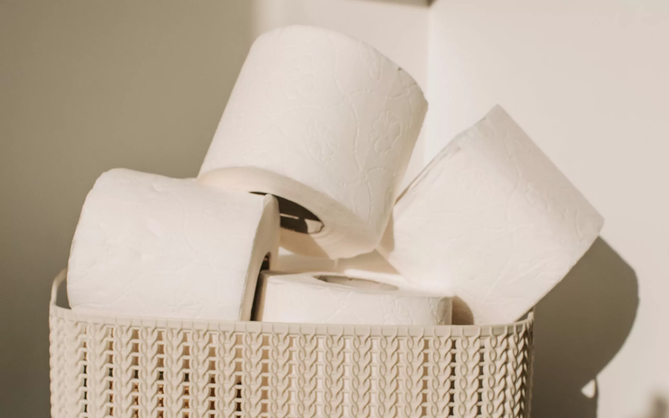 Sustainable Alternatives to Toilet Paper