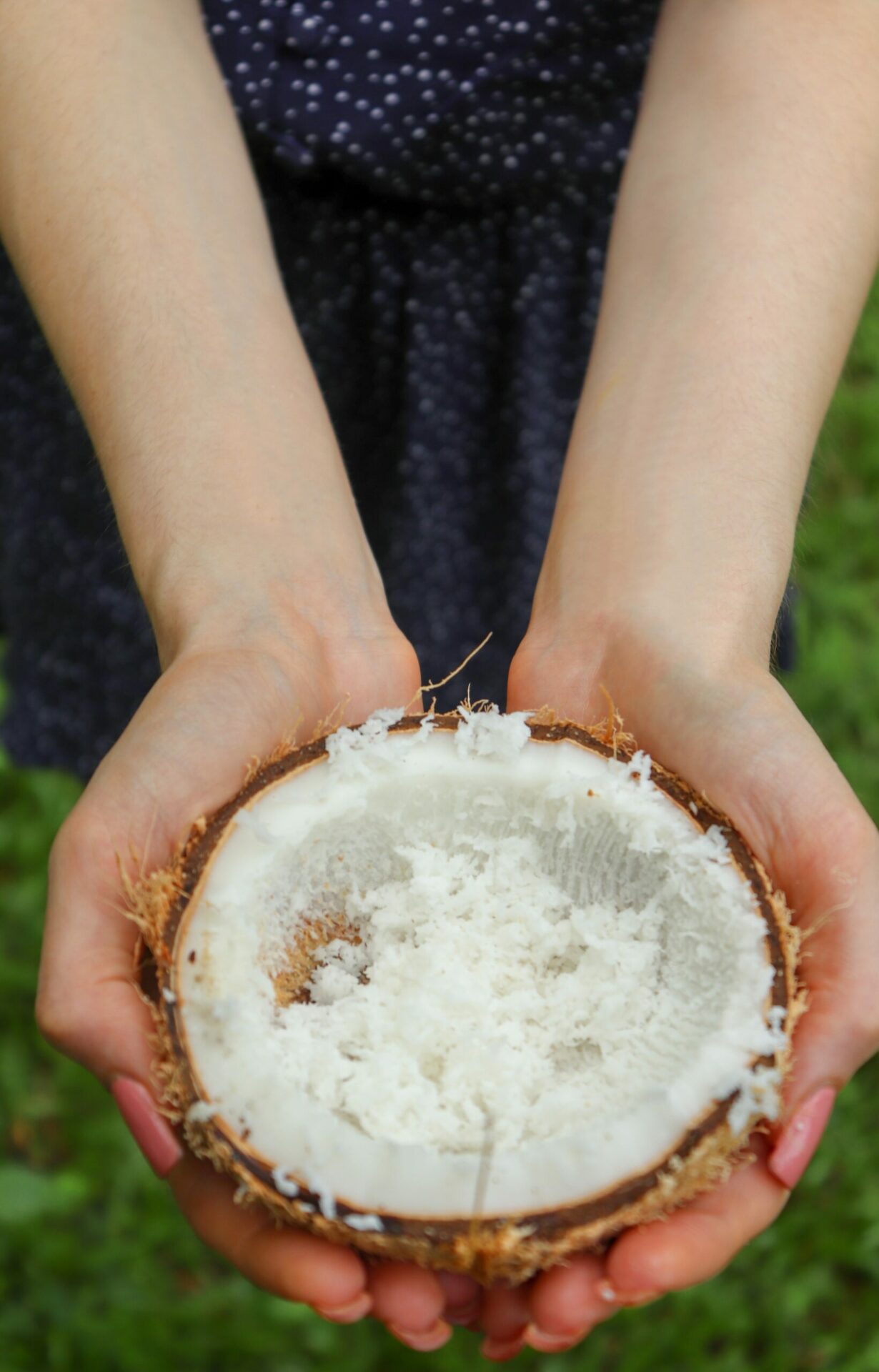 How to Tell if Your Shredded Coconut Has Gone Bad?