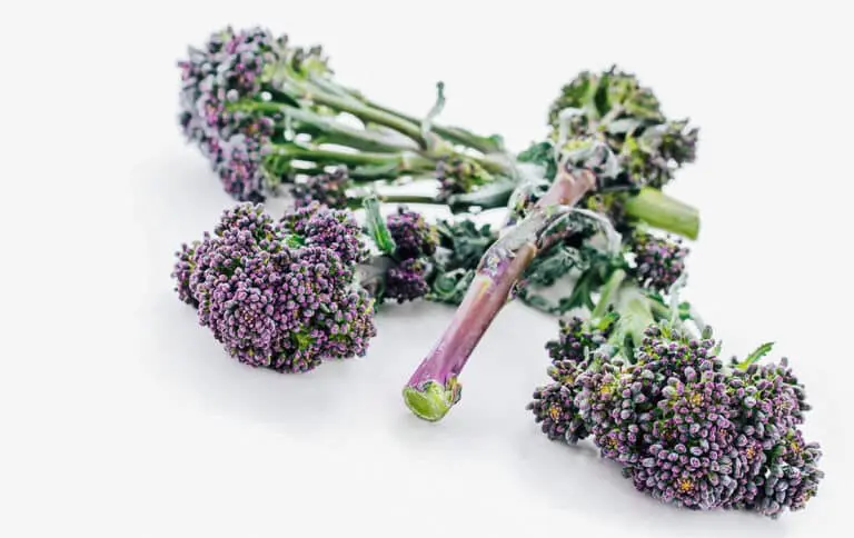 Benefits of purple broccoli in diet