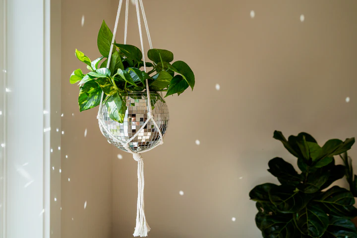 DIY guide to creating a disco ball planter using sustainable materials