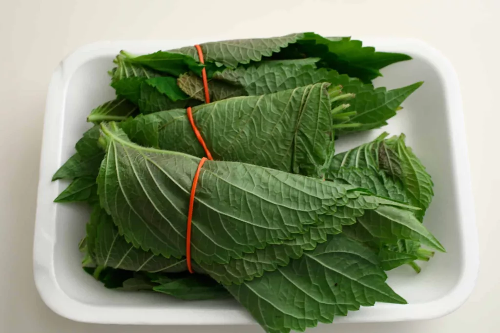 Where to find Shiso Leaf in grocery stores