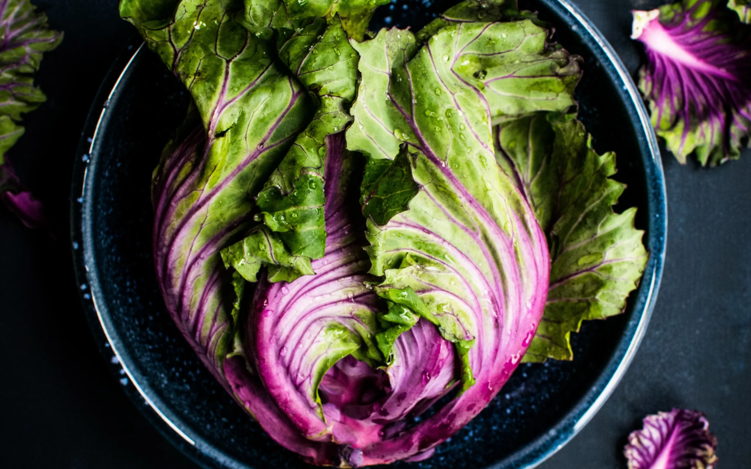Nutritional advantages of eating purple lettuce