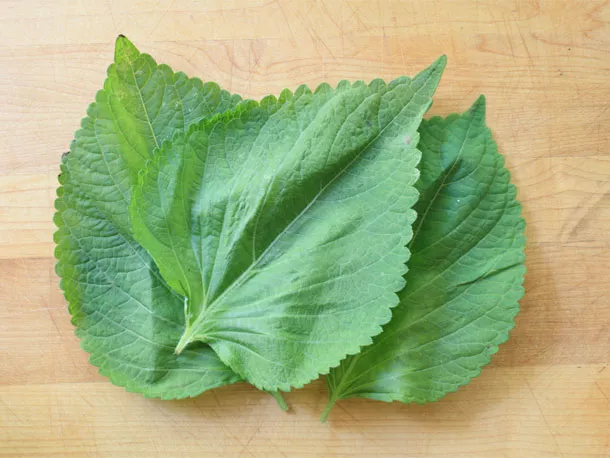 Buy fresh Shiso Leaf online