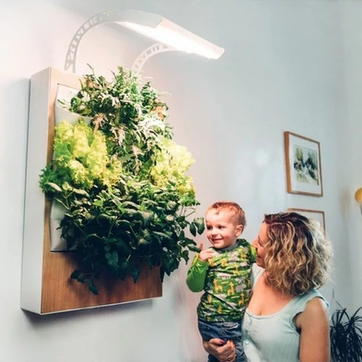 Affordable Indoor Hydroponics Kits for Small Spaces
