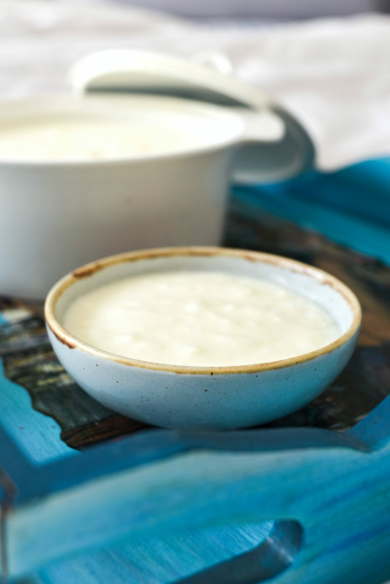 Organic low-fat vanilla yogurt brands