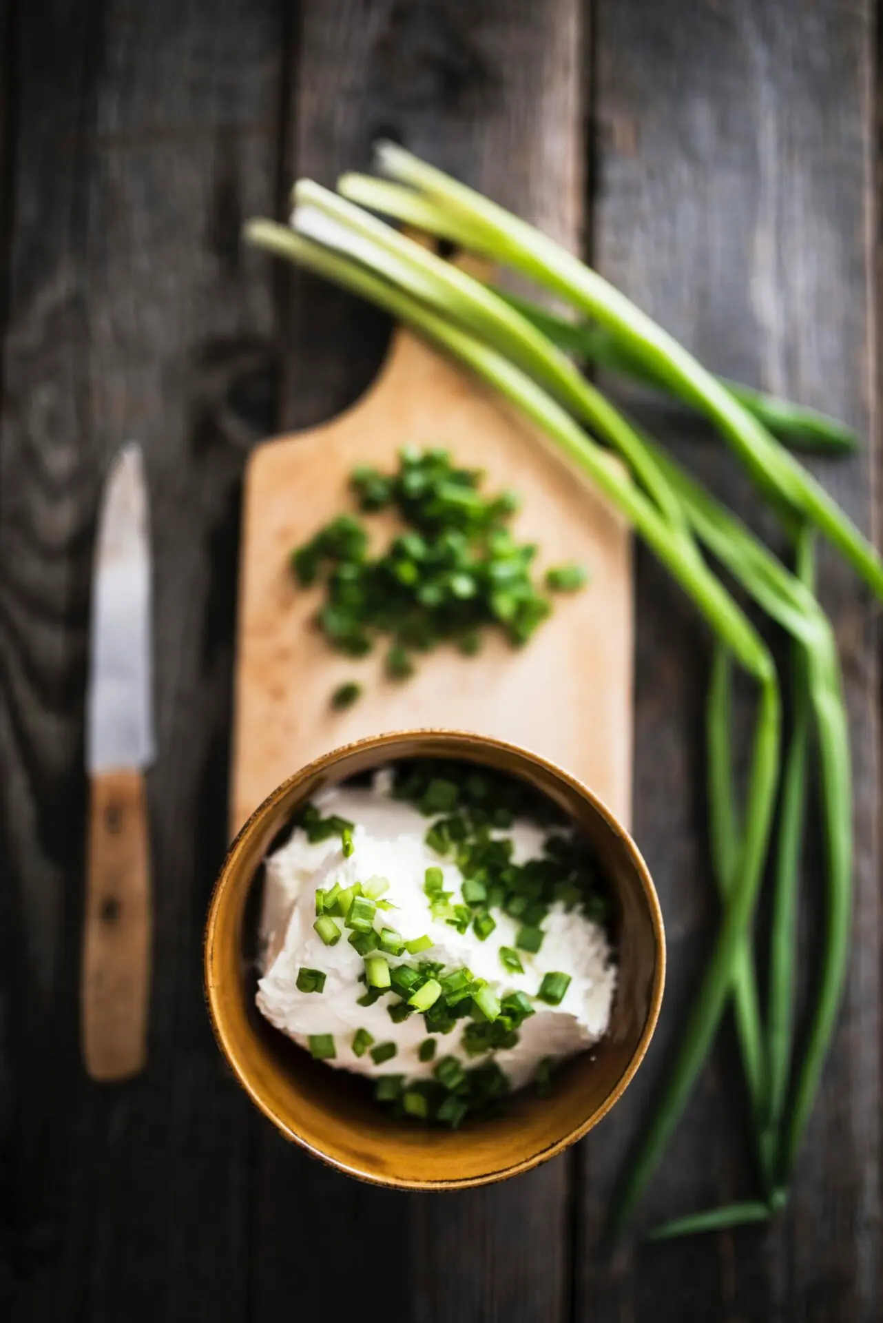 Easy Green Onion Dip Recipe