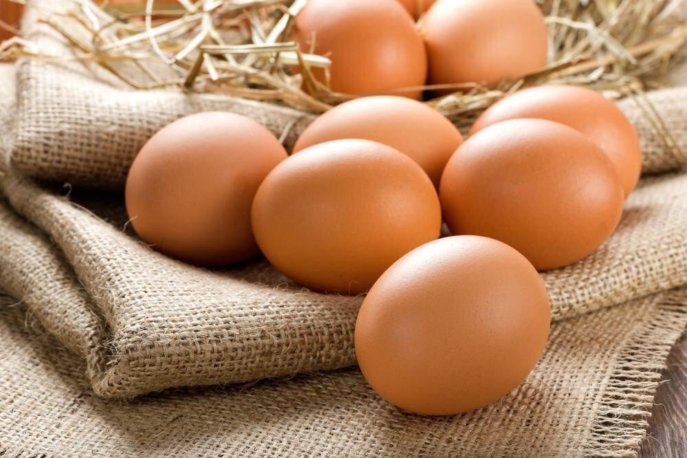 What are free-range eggs?