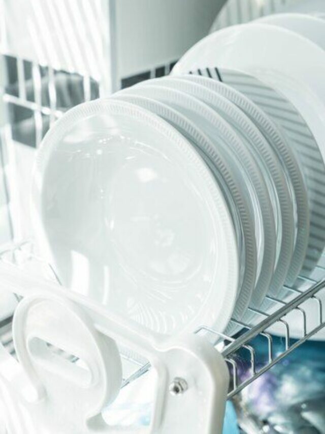 Top 8 Dishwasher Brands to Avoid Story