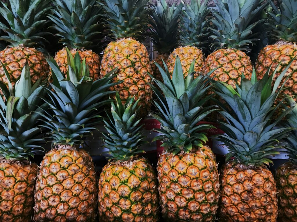 Nutrition for Pineapple Plant