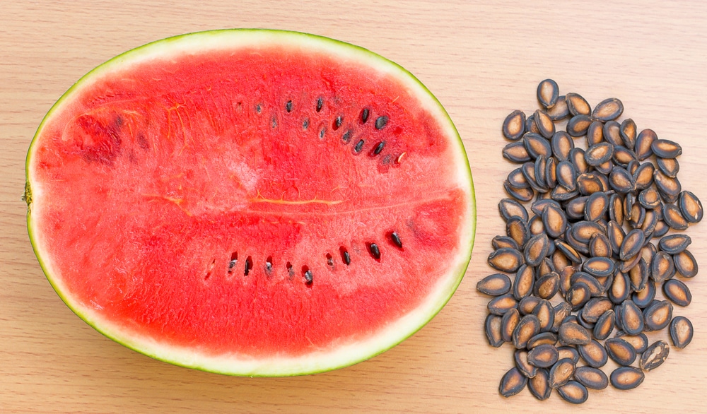 Safety of Eating Watermelon Seeds