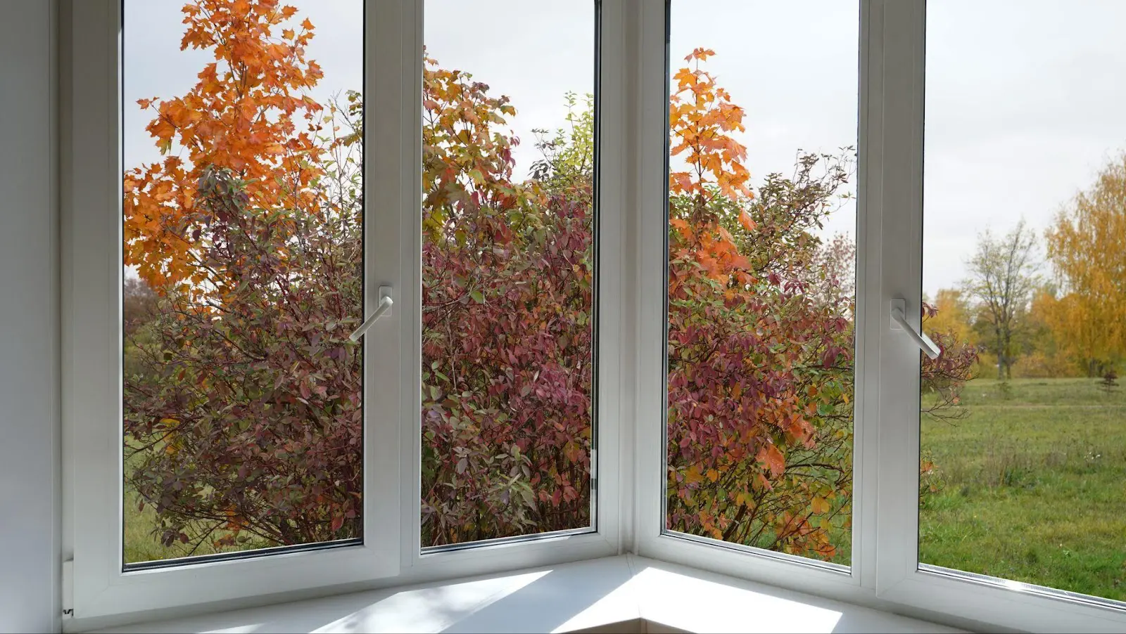 Triple-Glazed Windows: A Sustainable Investment for a Greener Future