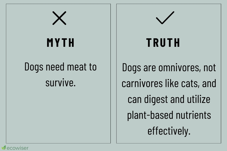 vegan dog food myths vs reality
