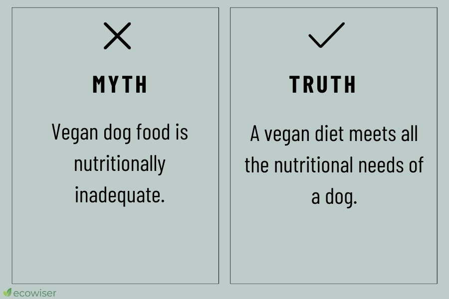 vegan dog food myths vs reality 