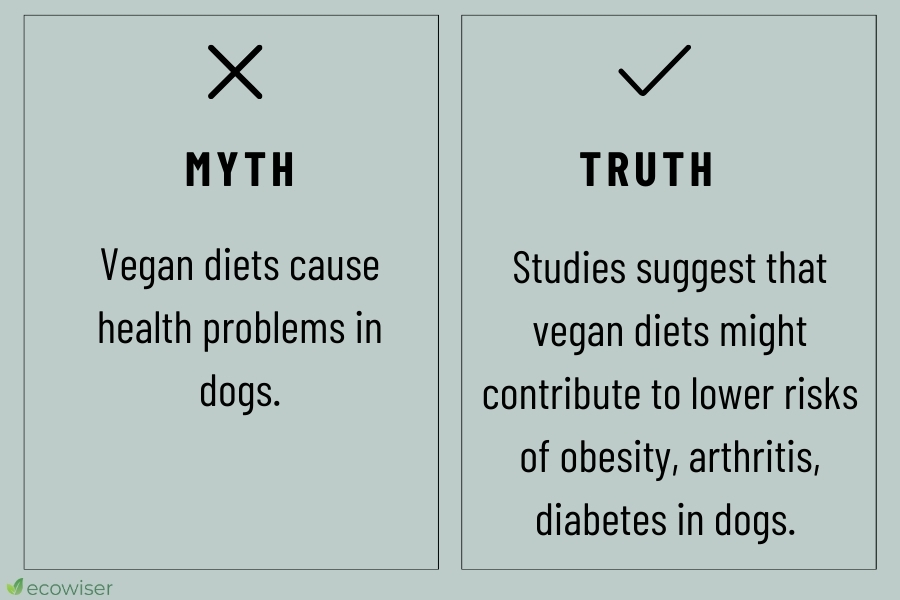 vegan dog food myths vs reality