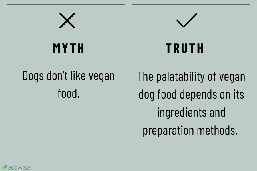 vegan dog food myth vs reality 