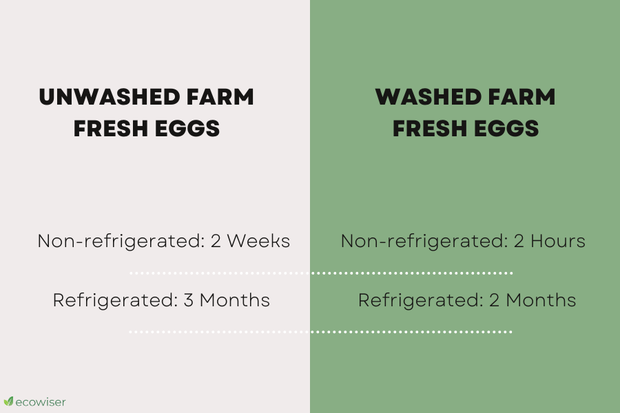 Shelf Life of Farm Fresh Eggs