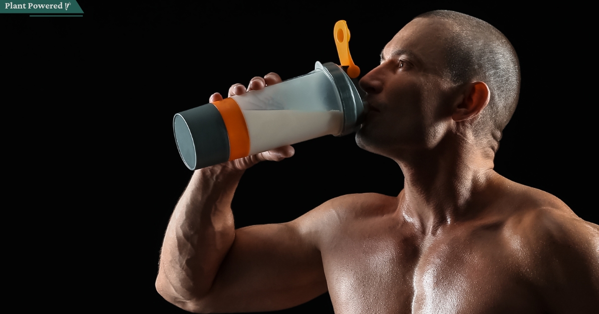 8 Best Dairy-Free Protein Powders And Where You Can Get Them | 2024