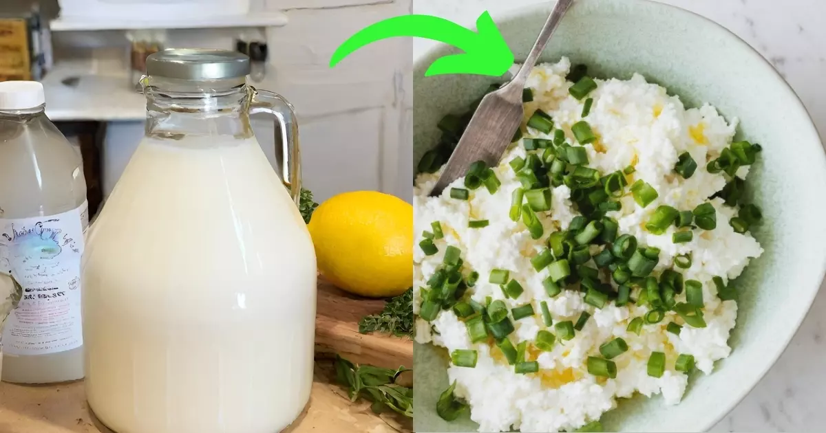 make cottage cheese at home